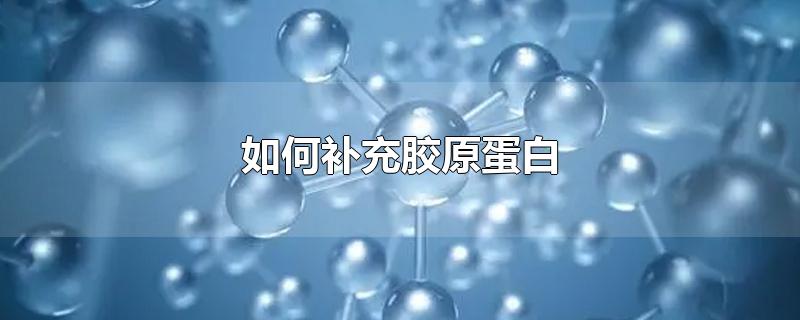 如何补充胶原蛋白