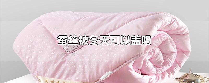 蚕丝被冬天可以盖吗