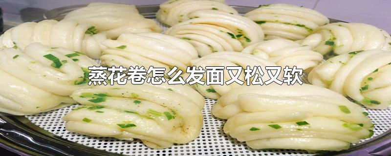 蒸花卷怎么发面又松又软