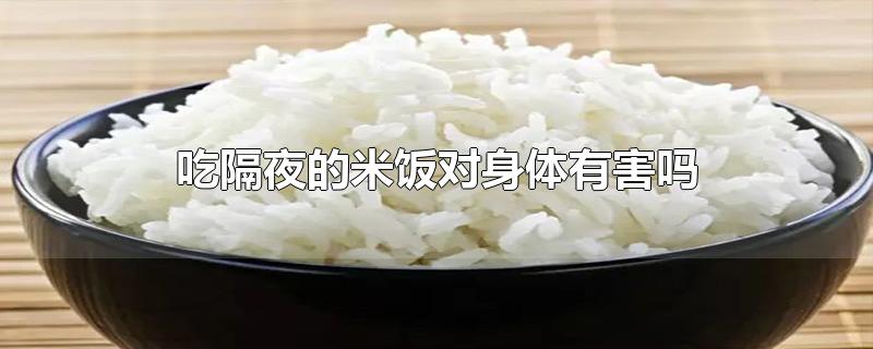 吃隔夜的米饭对身体有害吗