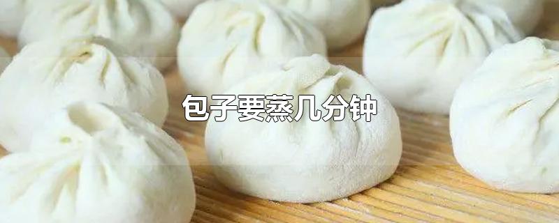 包子要蒸几分钟