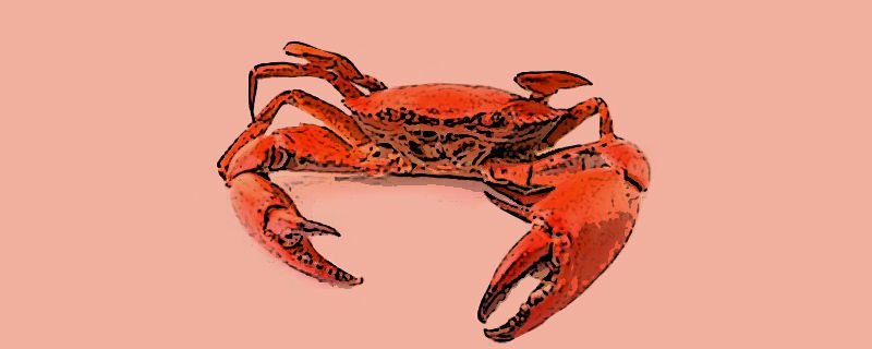 螃蟹熟了后腮是黑色的