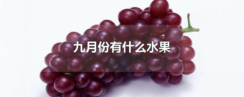 九月份有什么水果