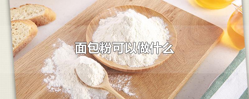 面包粉可以做什么