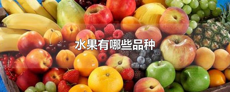 水果有哪些品种