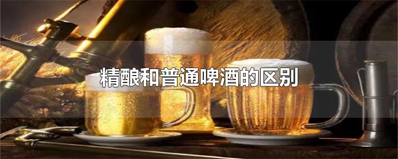精酿和普通啤酒的区别