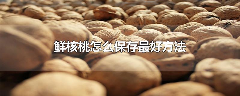 鲜核桃怎么保存最好方法