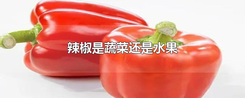 辣椒是蔬菜还是水果