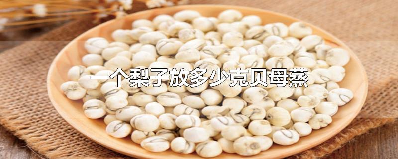 一个梨子放多少克贝母蒸