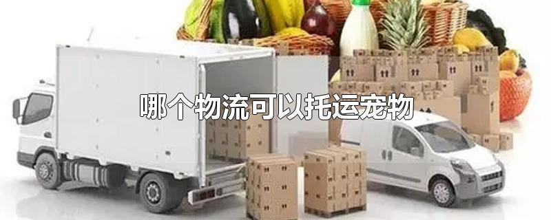哪个物流可以托运宠物