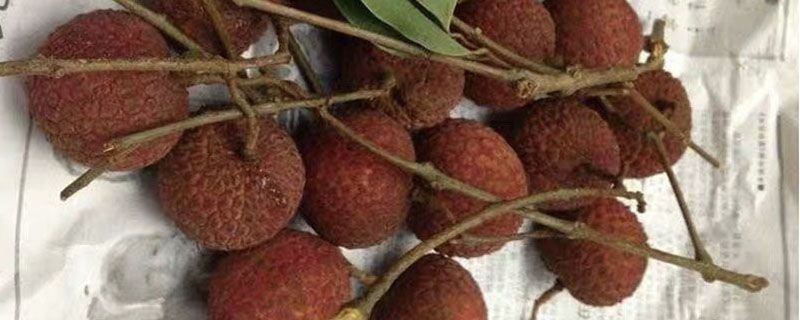 荔枝可以晒成干吗