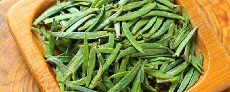 什么是雀舌茶叶