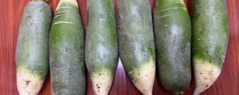 萝卜放盐腌制后要不要洗