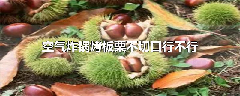 空气炸锅烤板栗不切口行不行