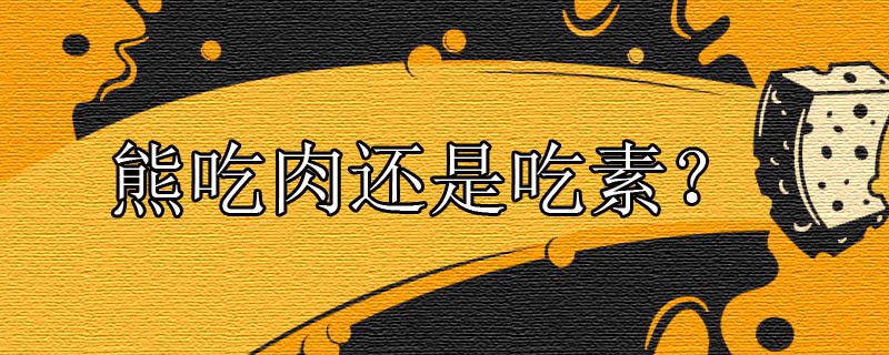 熊吃肉还是吃素