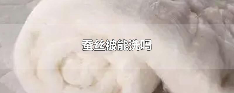 蚕丝被能洗吗
