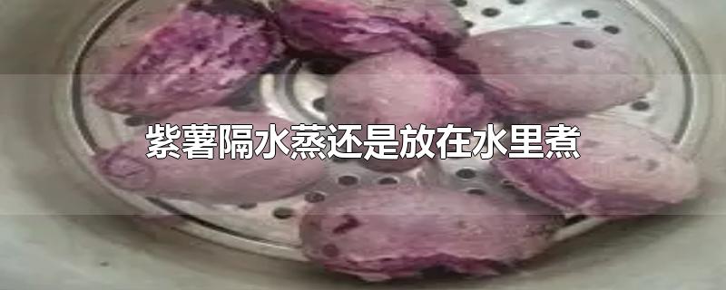 紫薯隔水蒸还是放在水里煮