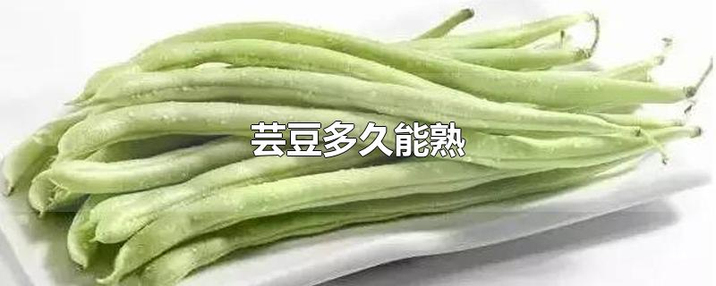 芸豆多久能熟