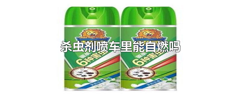 杀虫剂喷车里能自燃吗