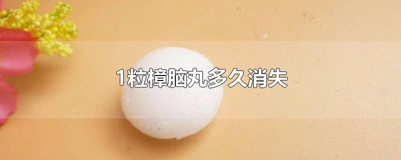 1粒樟脑丸多久消失