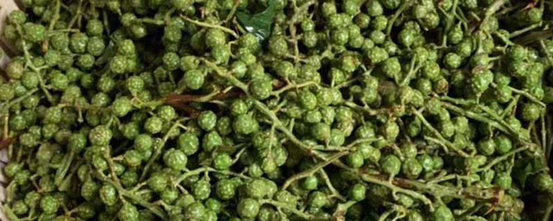 青花椒能不能直接冷冻